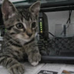 Meet your Posher, Maemae